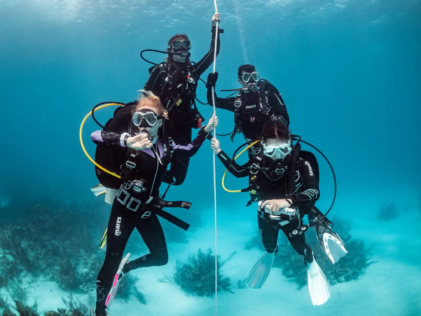 Amare Divers