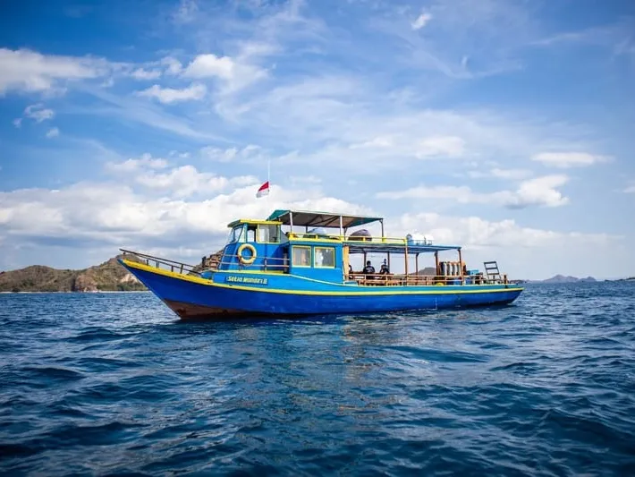 Bajo Dive Club