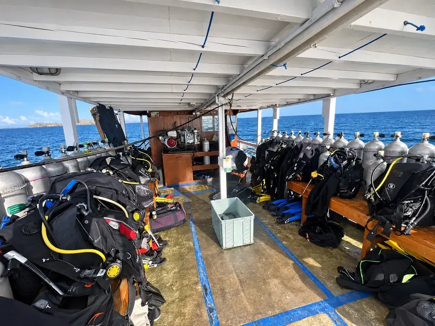Dive Komodo