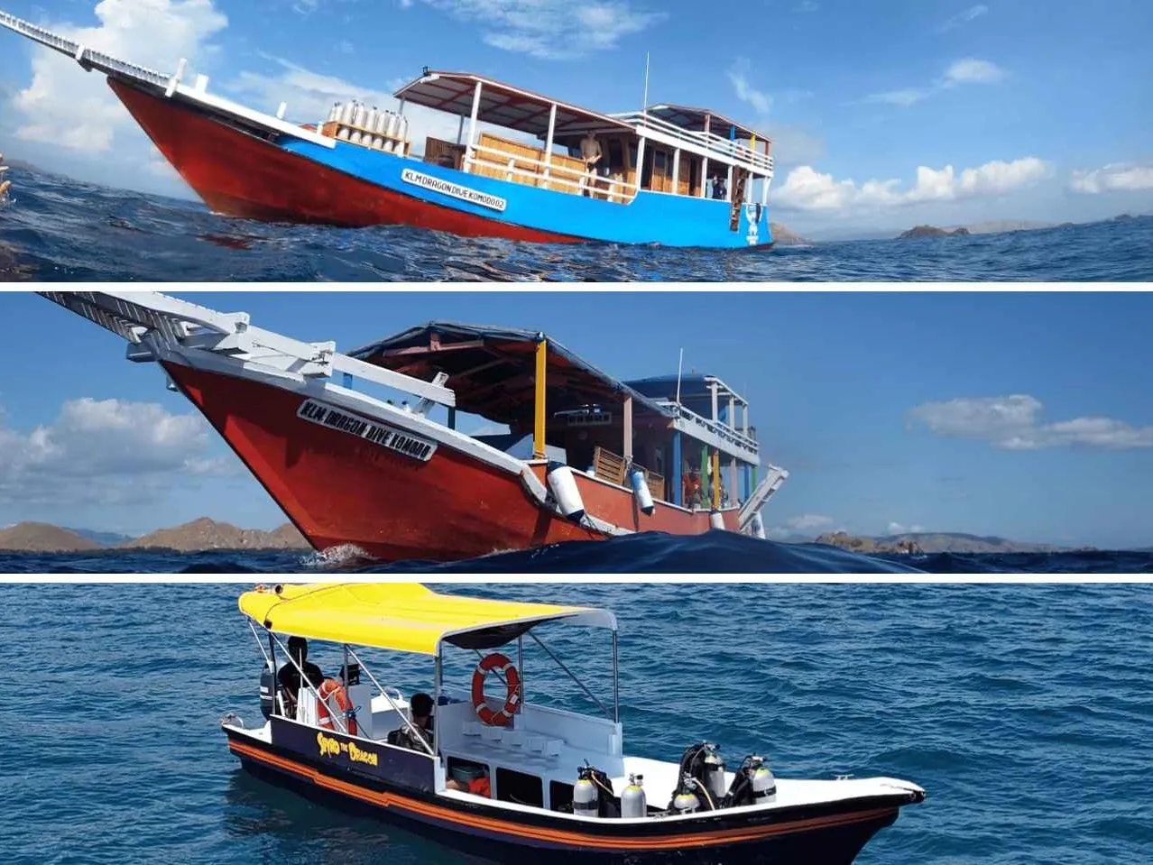 Dragon Dive Komodo