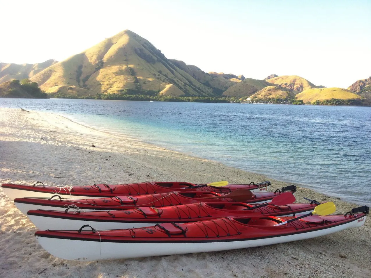 Komodo Kayaking