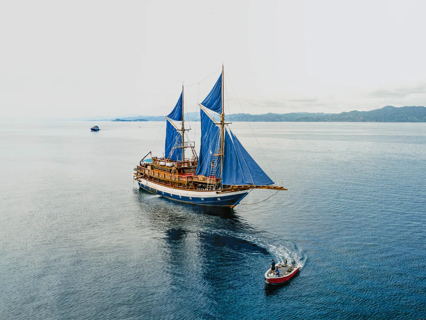 Sea Safari Cruises